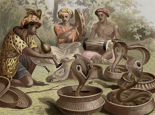 Заклинатели змей в Индии