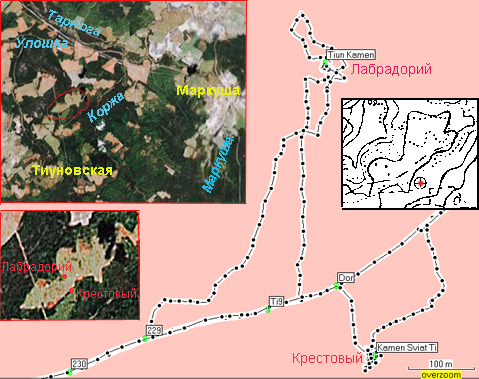 Это мой путь, зафиксированный GPSом. Координаты камней – Лабрадорий: N 60 25,637 E 43 44,579; Крестовый: N 60 25,396 E 43 44,666. Расстояние между ними по прямой 447 м. На Гугловских фотографиях – окрестности Тиуновского святилища (отмеченного красной линией на большом фото). Справа кусочек топографической карты, взятый из статьи Ивана Никитинского. Красным выделена точка, отмеченная археологом как место его раскопа