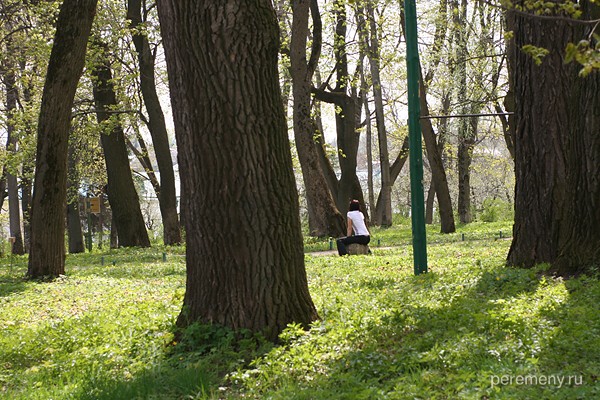 Ясная Поляна, парк возле дома Толстого. Фото Олега Давыдова