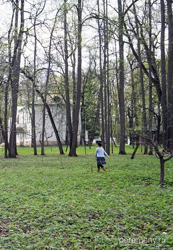 Ясная Поляна, за деревьями дом Толстого. Фото Олега Давыдова