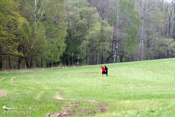 Ясная Поляна. Поле и лес. Фото Олега Давыдова