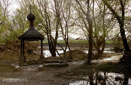 Святой источник на берегу Тихой Сосны под Большими Дивами. Мне так и не удалось выяснить, как он называется. Может быть, просто Святой источник. Но по типу этот источник Никольский. Здесь пахнет змеиным болотом и прочими атрибутами Змея Николы-Волоса, побиваемого, Перуном-Георгием. Где-то в этих местах были разбиты войска атамана Фрола Разина