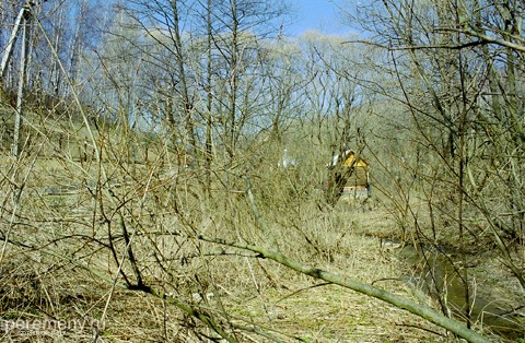 Речка Прошенка совершенно заросла кустарником. Прямо какие-то дебри бессознательного. А вдали виднеется купальня на источнике блаженной Евфросинии
