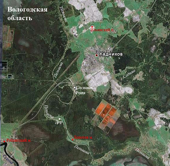 Вид на Пельшму из космоса. Контекст этого места можно посмотреть на карте к месту силы «Глушица» (активная ссылка в следующем абзаце)
