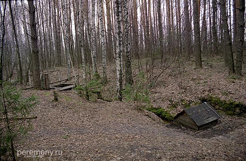 Целебный серный источник в лесу около Санаксарского монастыря