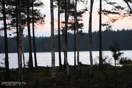 Озеро Ласковское недалеко от Ласкова. По его берегу ходишь, как по батуту. Верховое болото. Когда-то здесь шаманили отец и брат Февронии