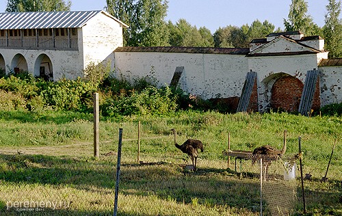 Валдайский Иверский монастырь. Тут монахи разводят страусов. Фото Олега Давыдова