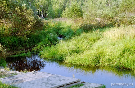 Место, где Недума-река вытекает из озера Устолье. Это канал, выкопанный Леонидом