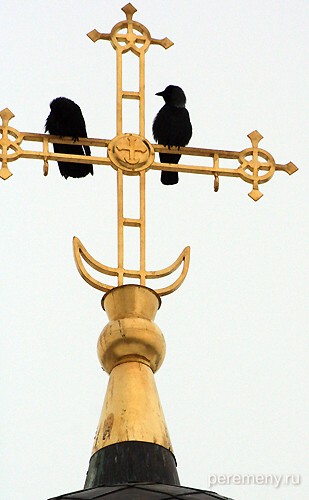 Владычный монастырь. Галки на кресте надвратного храма мученика Феодота Анкирского