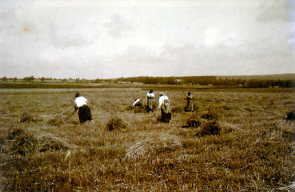Крестьяне работают в Ясной Поляне. Фотография начала 20-го века