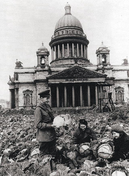 Огород перед Исаакиевским Собором, 1942 год.