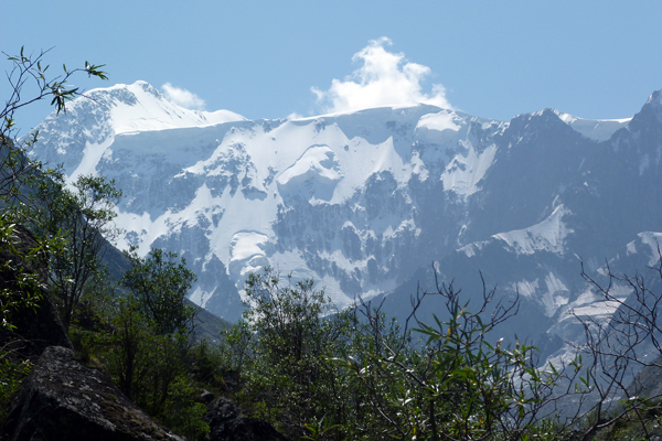 Алтай, Белуха