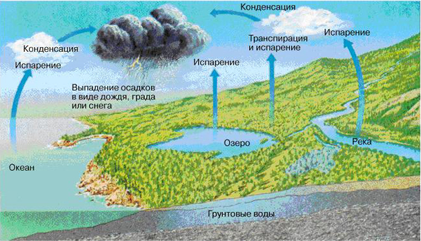 круговорот