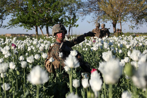 Американские солдаты на маковых полях Афганистана 