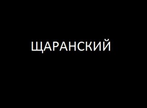 Лев Щаранский, конечно, тоже участвует в акции поддержки Синякова