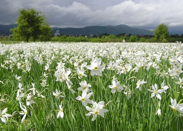 Украина. Мирное время