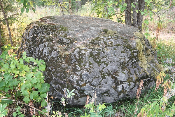Камень, найденный неподалеку от Тиуновского святилища